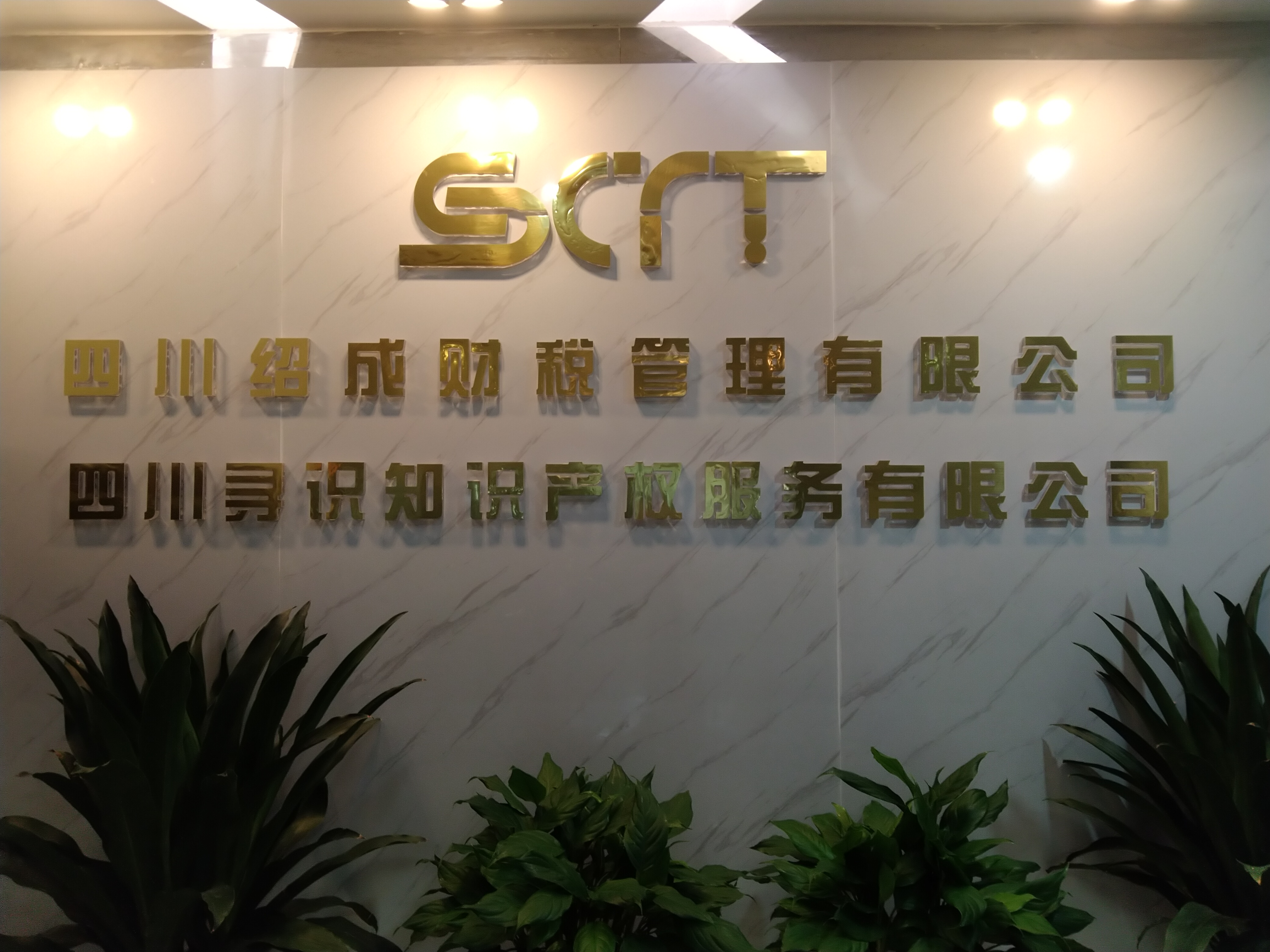 公司变更
